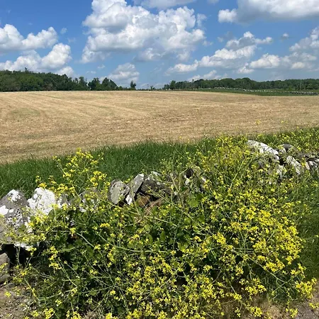 ゲストハウス Ballinamana 3*